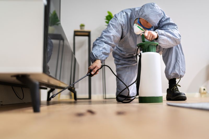 Pest Fumigation Service in Fort Myers, FL