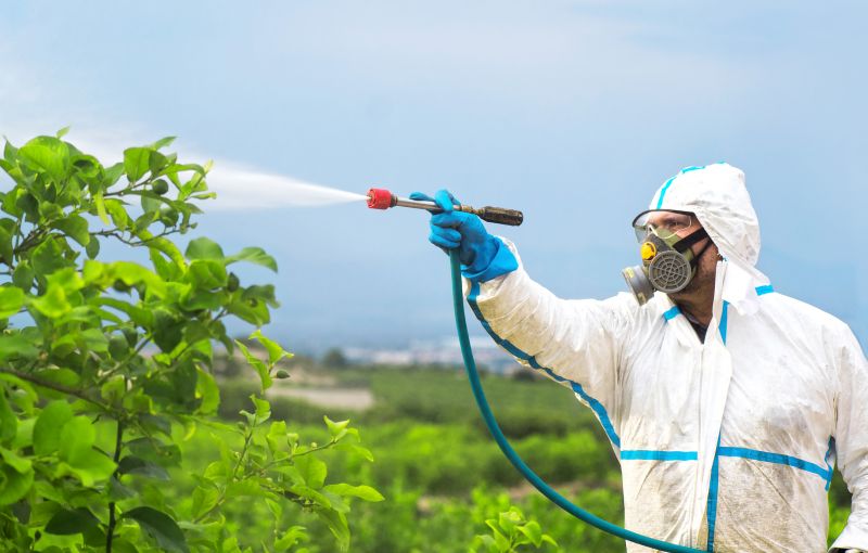 Pest Fumigation Service in Fort Myers, FL