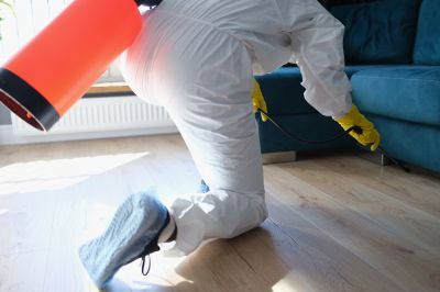 Residential Fumigation in Asheville, NC