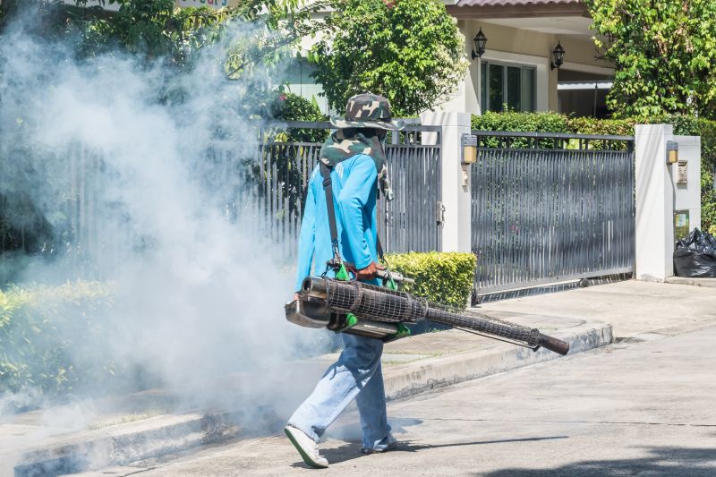 Spider Fumigation Service in Santa Fe, NM