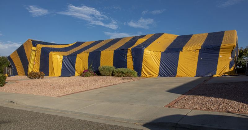 Termite Tenting in Ann Arbor, MI
