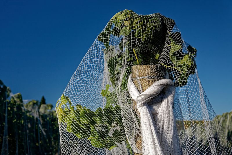 Custom Bird Netting Installers